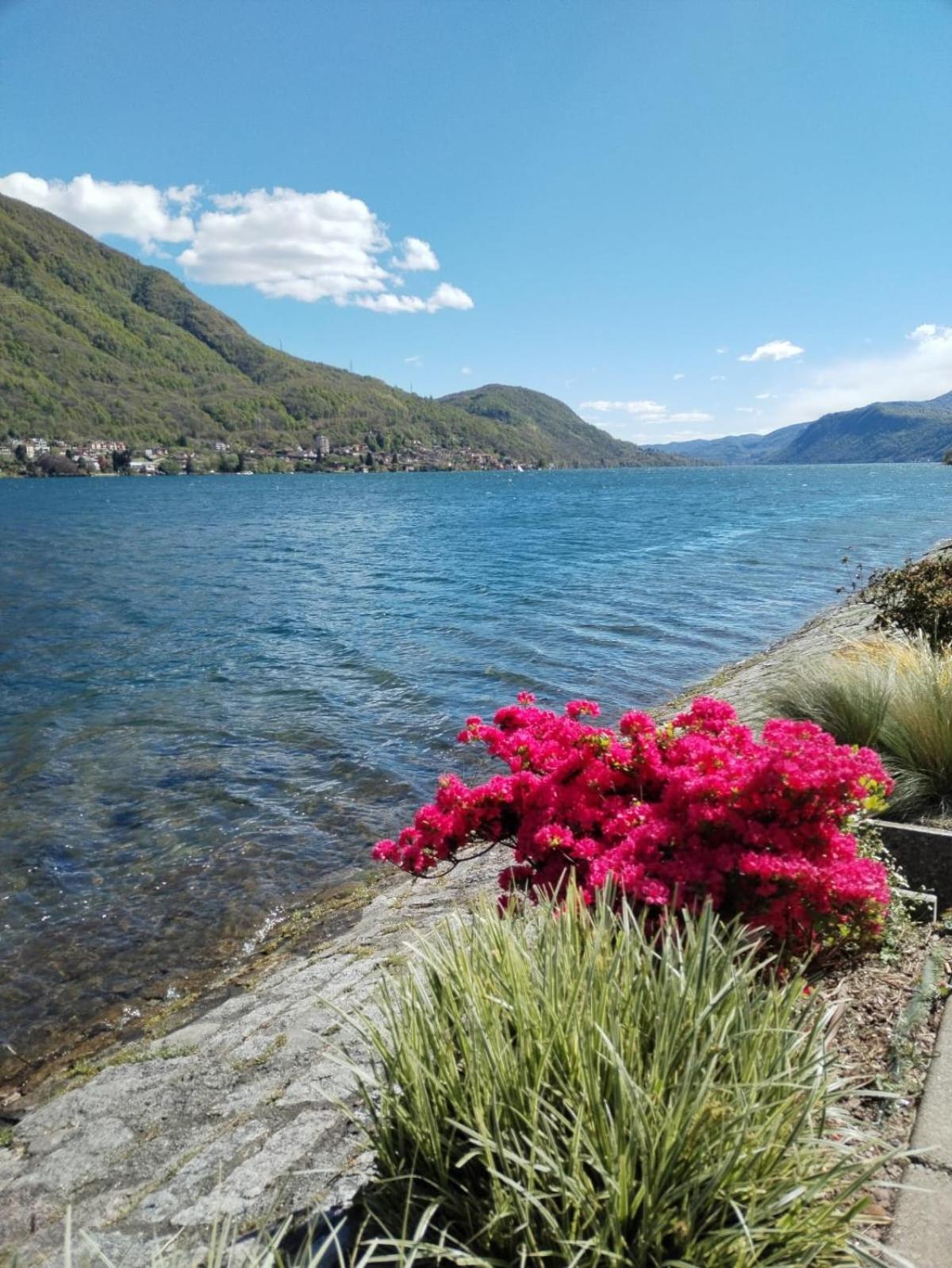 Un Balcone Sul Lago Omegna Eksteriør bilde