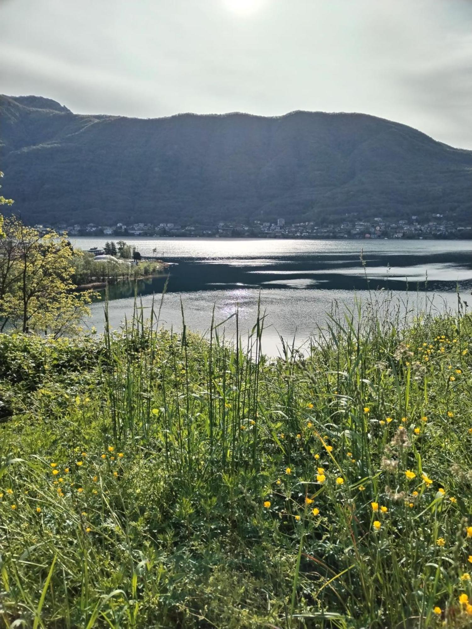 Un Balcone Sul Lago Omegna Eksteriør bilde