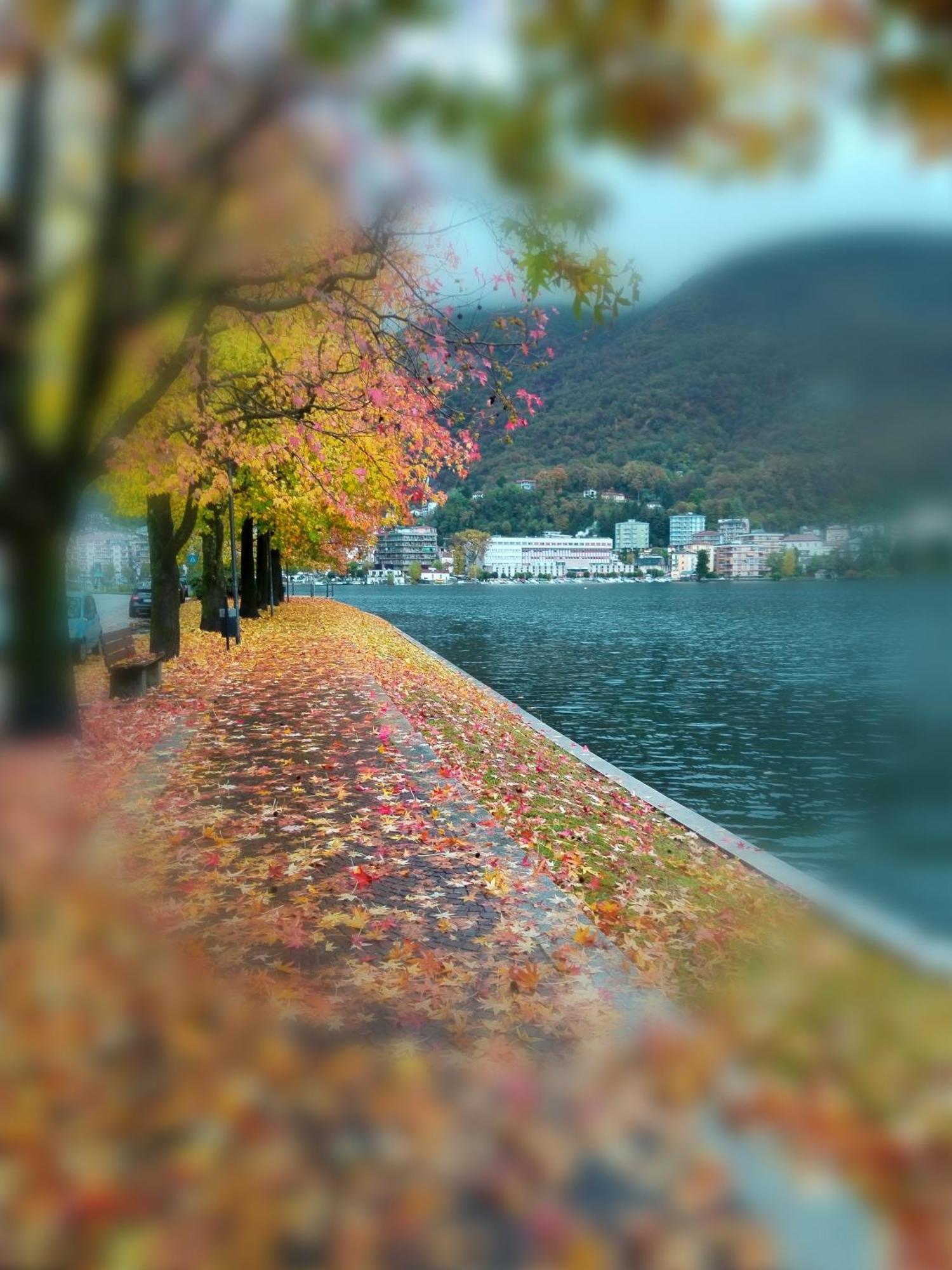 Un Balcone Sul Lago Omegna Eksteriør bilde