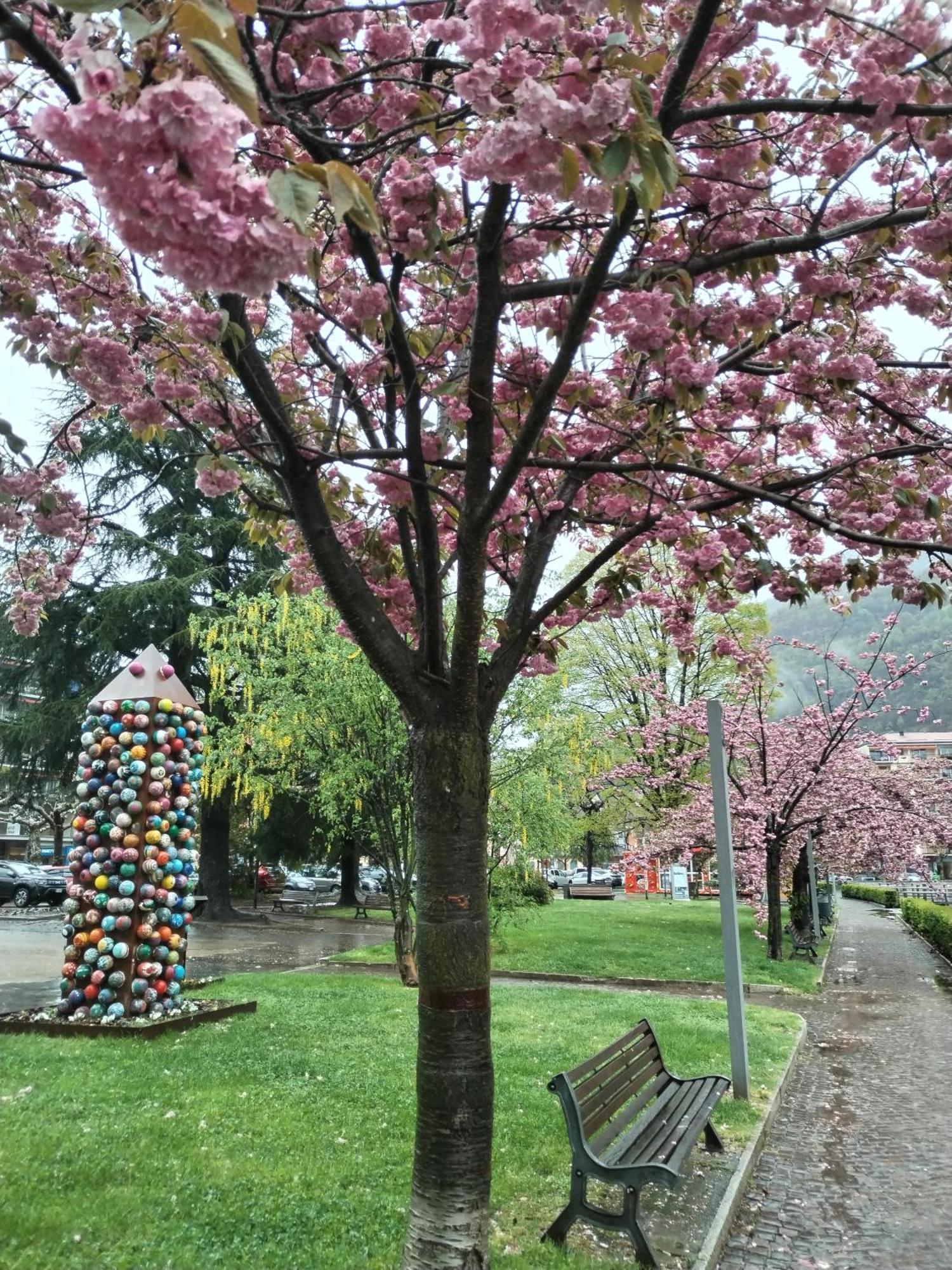 Un Balcone Sul Lago Omegna Eksteriør bilde