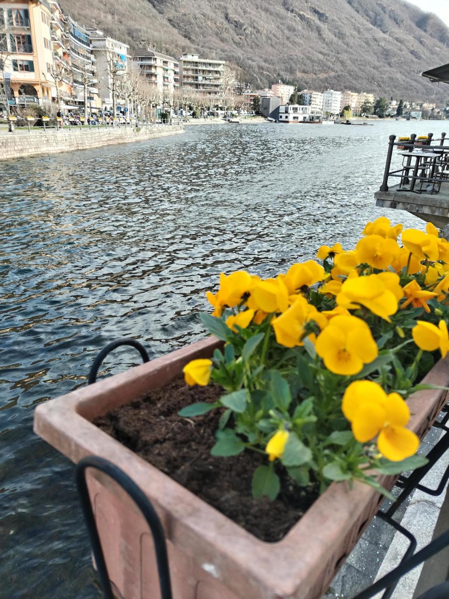 Un Balcone Sul Lago Omegna Eksteriør bilde